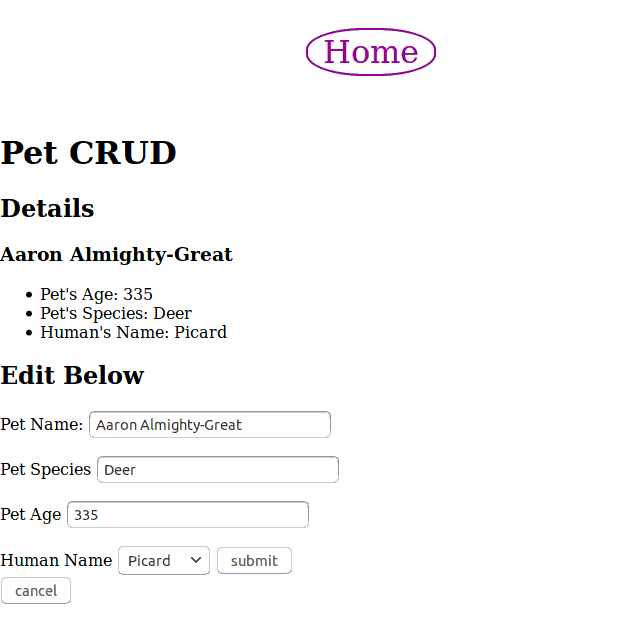 Screenshot of the Pet Crud project.